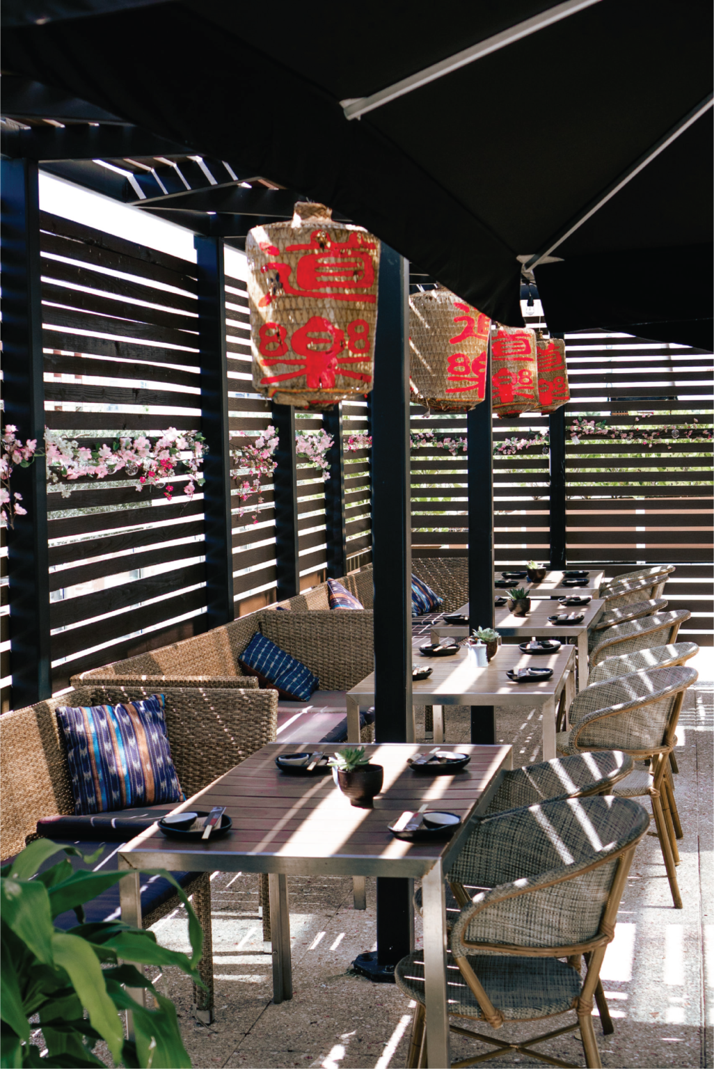 Aoki Teppanyaki - Aoki Group